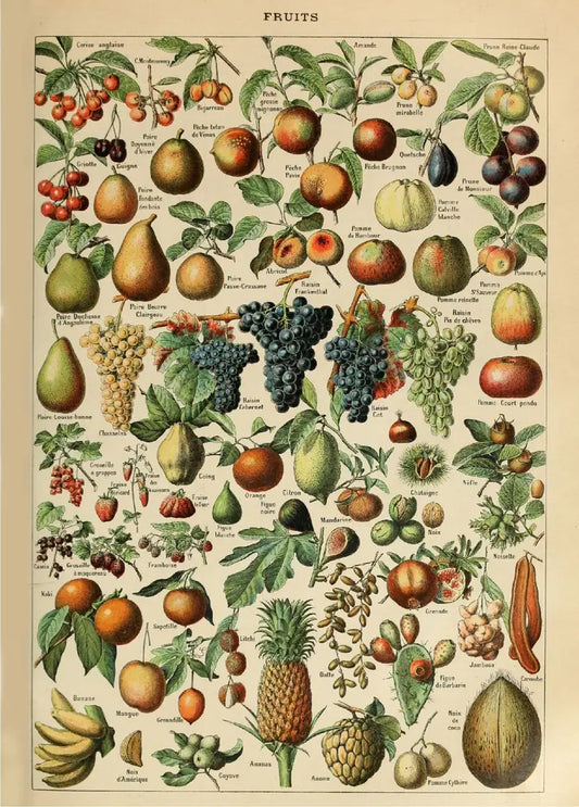 French Fruit poster