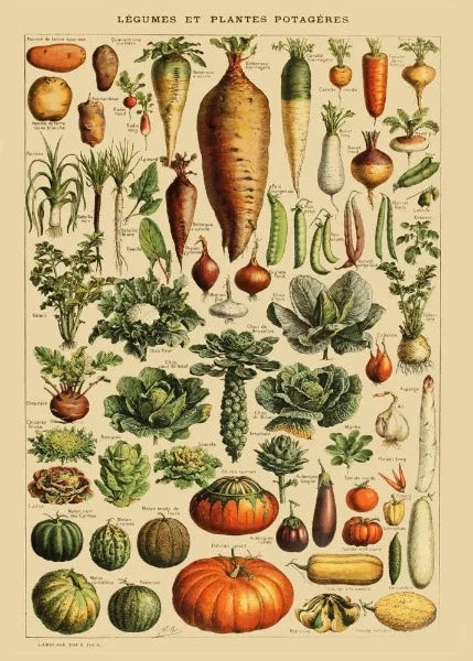 French Vegetables poster